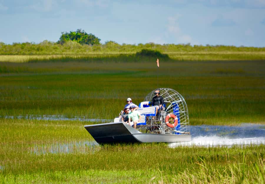 Miami: Everglades River of Grass Small Airboat Wildlife Tour - Two hours on the River of Grass