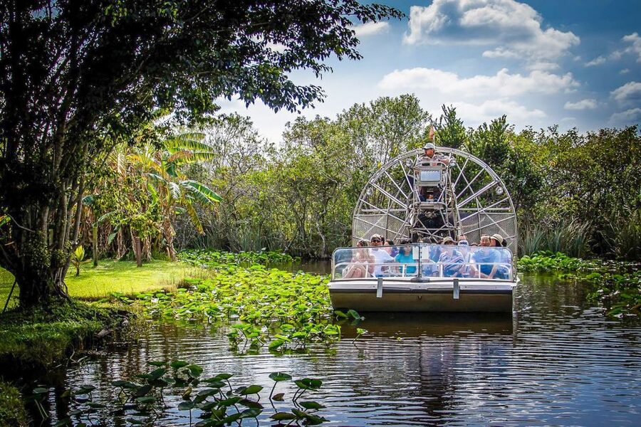 Miami: Everglades Safari Park Airboat Tour - The Wildlife Nature Show After the Boat