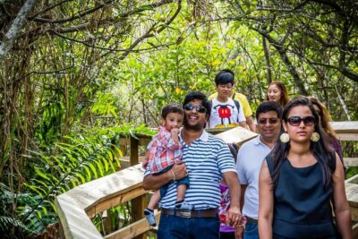 Everglades Safari Park Airboat Tour