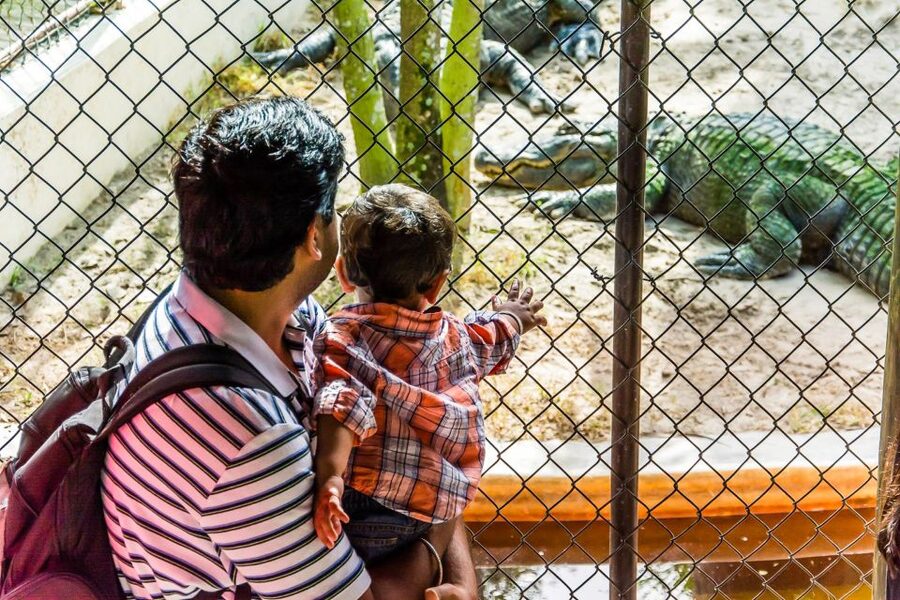 Miami: Everglades Safari Park Airboat Tour - Is the $41 Price a Good Value?