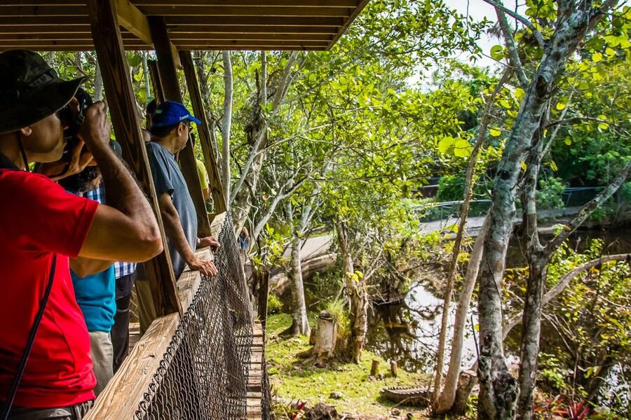 Miami: Everglades Safari Park Airboat Tour - Who Will Enjoy This Everglades Tour Most?