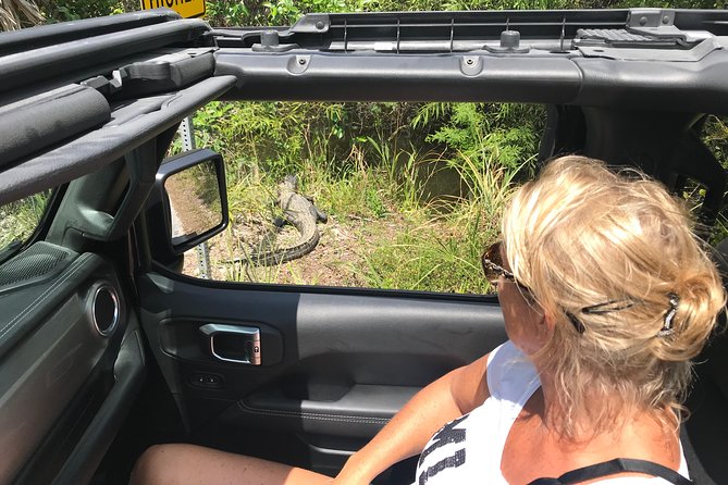 Miami & Florida Everglades Adventure Package - Private transport and the pace of the day