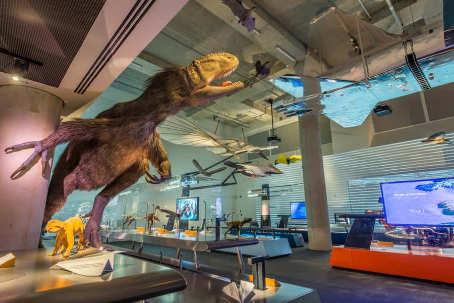 Miami: Frost Museum of Science and Planetarium Entry Ticket - Key points to know before you go