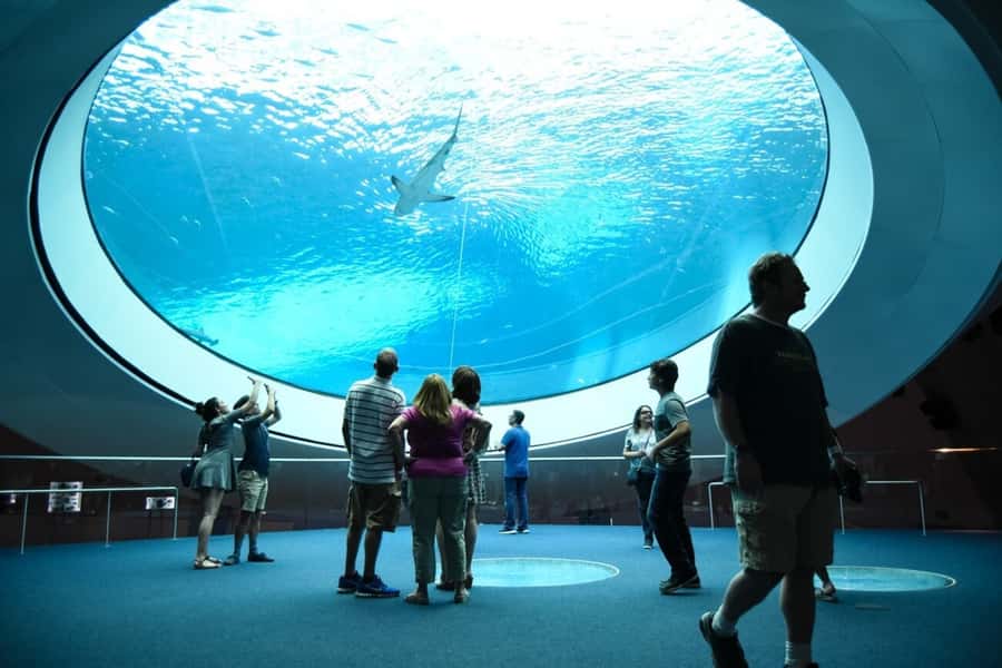Miami: Frost Museum of Science and Planetarium Entry Ticket - Choose your planetarium show early