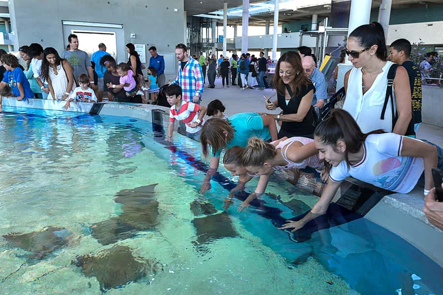Miami: Frost Museum of Science and Planetarium Entry Ticket - How much time should you set aside?