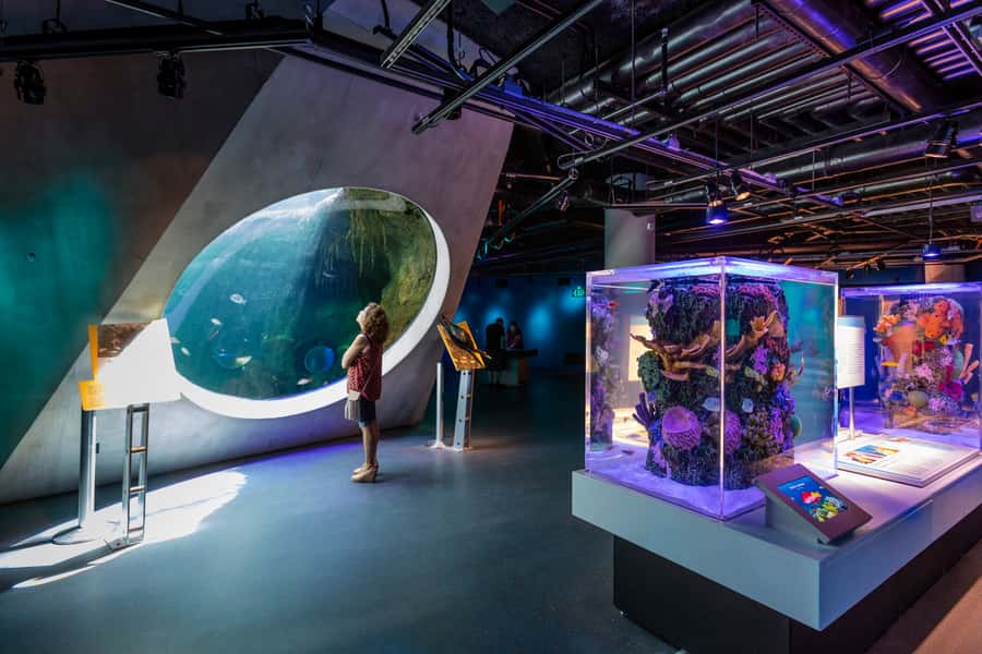 Miami: Frost Museum of Science and Planetarium Entry Ticket - Who will enjoy Frost Science most?