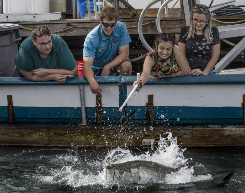 Miami: Giant Fish Feeding Experience - A Floating Dock Made for Short, Close Encounters