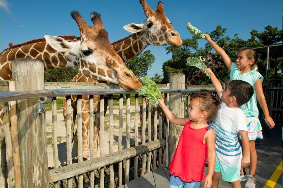 Miami: Go City All-Inclusive Pass with 30+ Attractions - What the $119 price is really worth