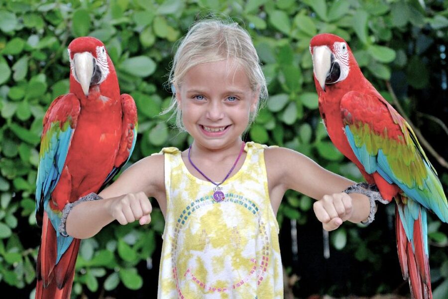 Miami: Go City All-Inclusive Pass with 30+ Attractions - Planning a pass day without exhausting yourself