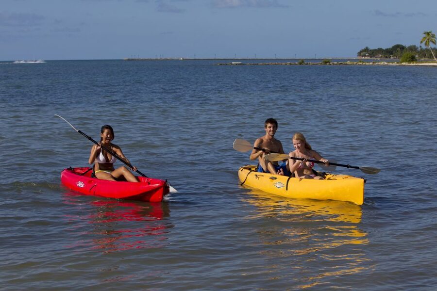 Miami: Go City Explorer Pass - Choose 2 to 5 Attractions - Big Bus Miami, an easy first look at the city
