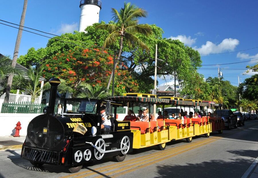 Miami: Go City Explorer Pass - Choose 2 to 5 Attractions - Everglades airboats, alligators, and careful expectations