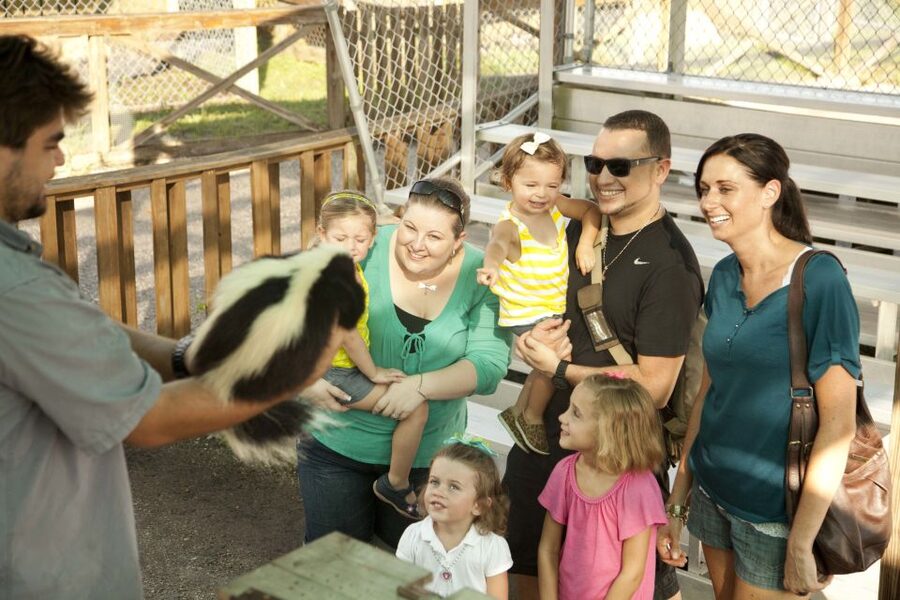 Miami: Go City Explorer Pass - Choose 2 to 5 Attractions - Lion Country Safari and Zoo Miami for families