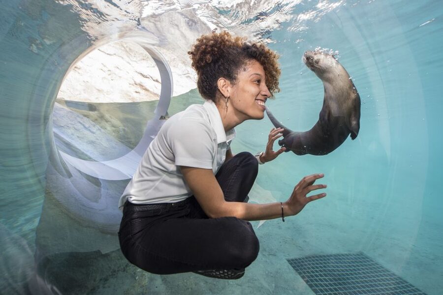 Miami: Go City Explorer Pass - Choose 2 to 5 Attractions - Picking the right two, three, four, or five attractions