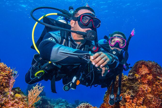 Miami Guided 2-Tank Scuba Diving: South Florida’s Reefs & Wrecks - Why the group limit matters underwater