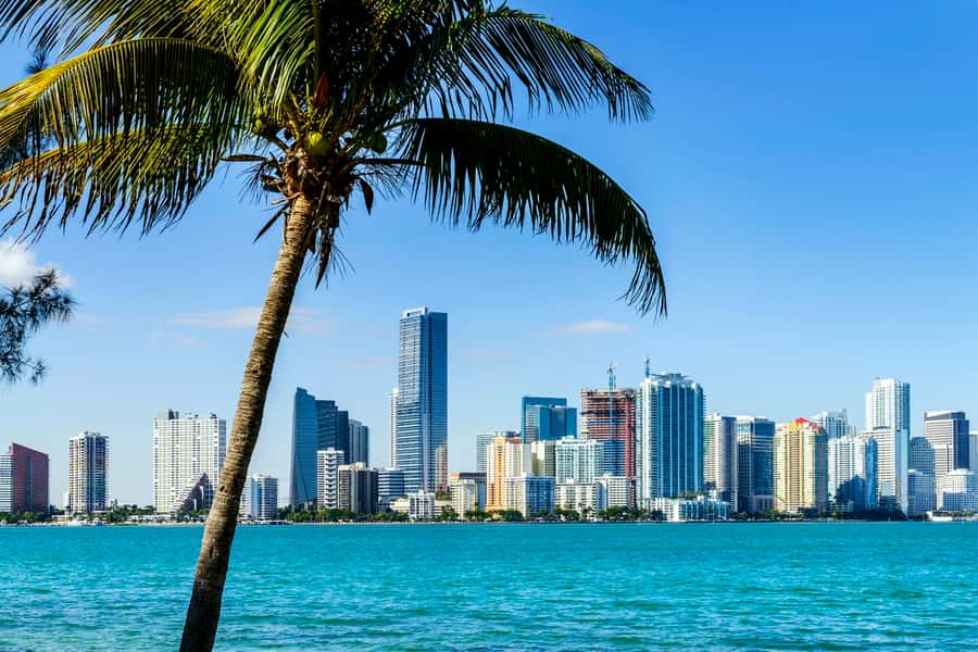 Miami: Guided City Tour and Boat Ride - Downtown Miami and the skyline
