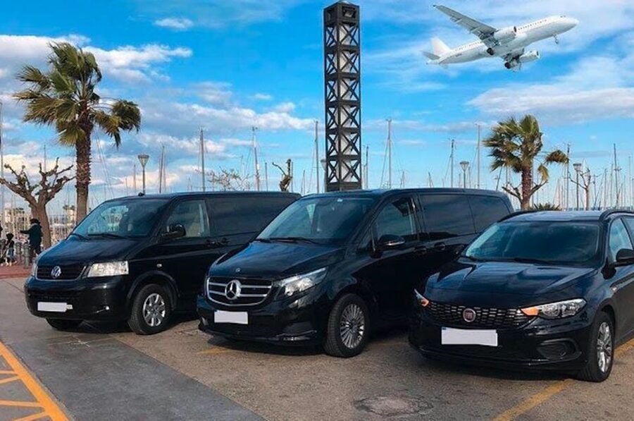 Miami: Guided Tour with Transfer from Cruise Port to Airport - Why this tour fits a cruise-to-airport day