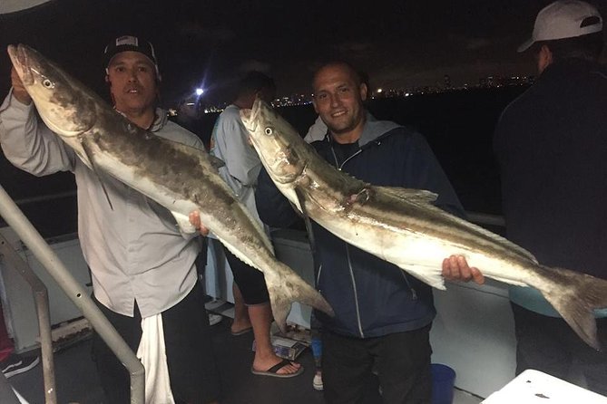 Miami Half Day Deep Sea Fishing Trip from Bayside Marketplace - What might actually come up