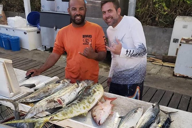 Miami Half Day Deep Sea Fishing Trip from Bayside Marketplace - Live bait and the real cost