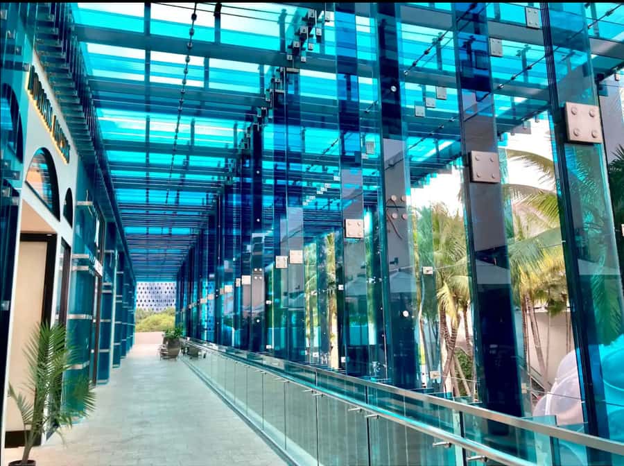 Miami: HIDDEN WORLD OF MIAMI DESIGN DISTRICT - Who should book this walk?