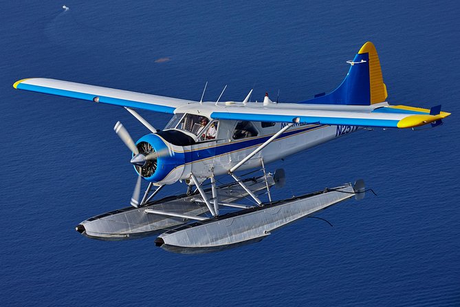 Miami Highlights Private Seaplane Tour with Live Commentary - Meeting at 555 NE 15th Street