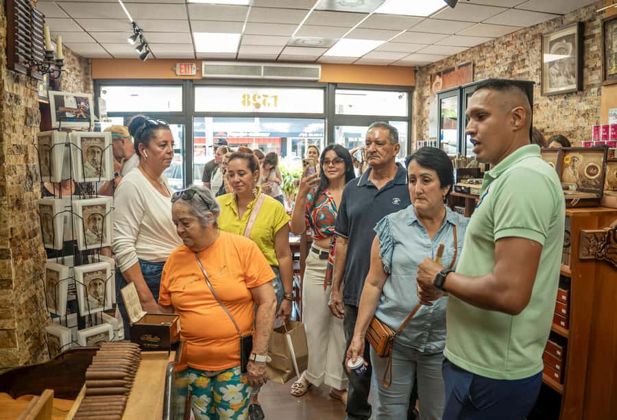 Miami: highlights Walking & Sightseeing tour - Price, group size, and what you really receive