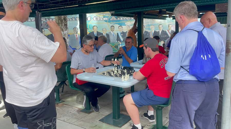 Miami: highlights Walking & Sightseeing tour - Who should book this Miami tour?