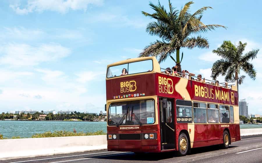 Miami: Hop-on Hop-off Open-top Bus Tour and Optional Cruise - What the 48-hour Miami pass really gives you