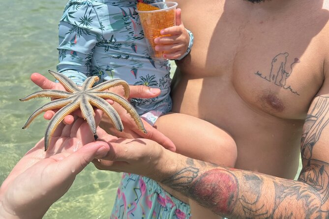 Miami Island Adventure: Boat Rental to Raccoon Island - Weather, wildlife, and realistic expectations