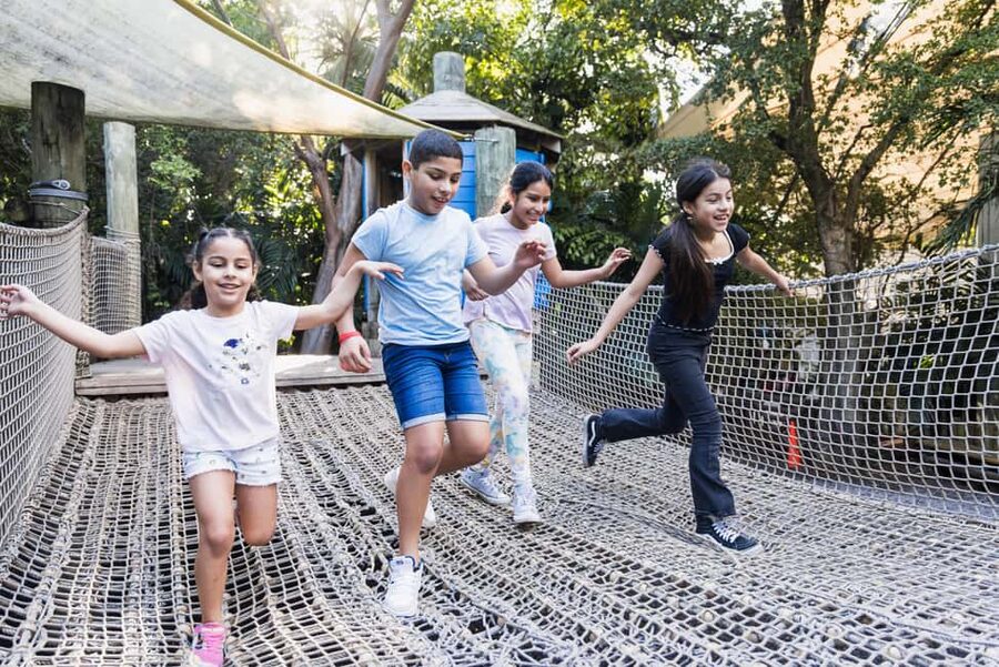 Miami: Jungle Island General Admission - What your day includes for $32