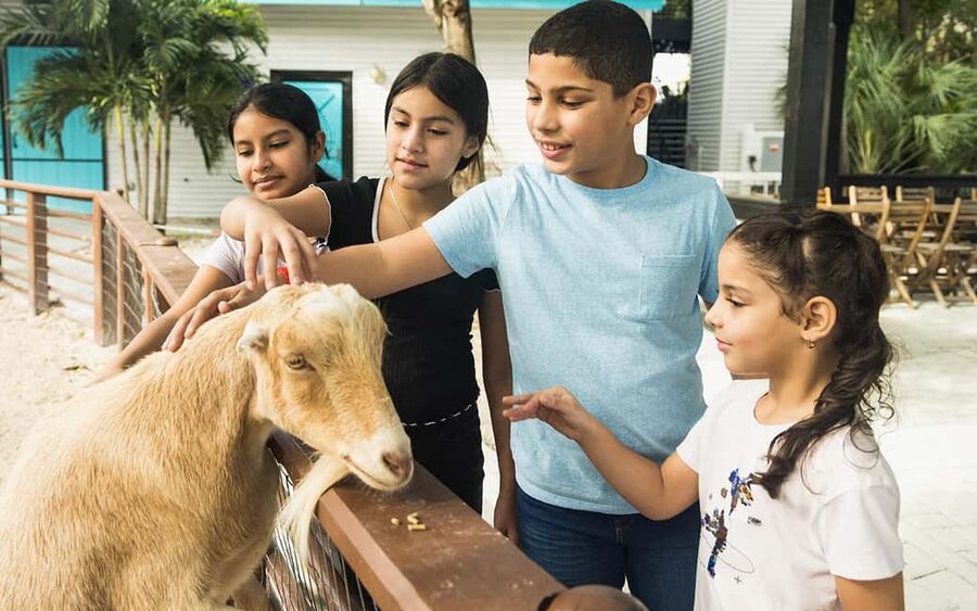 Miami: Jungle Island General Admission - Manu Aviary and the animal exhibits