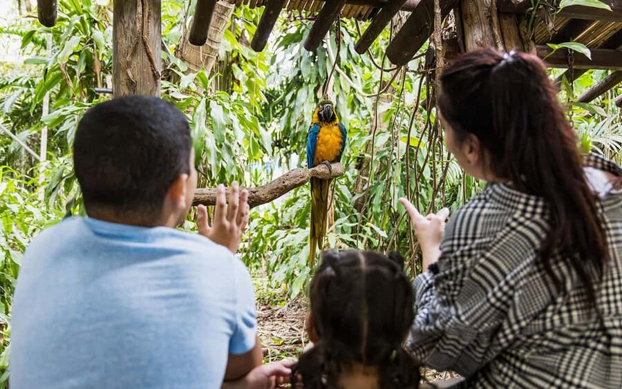 Miami: Jungle Island General Admission - Treewalk Village is the main family draw