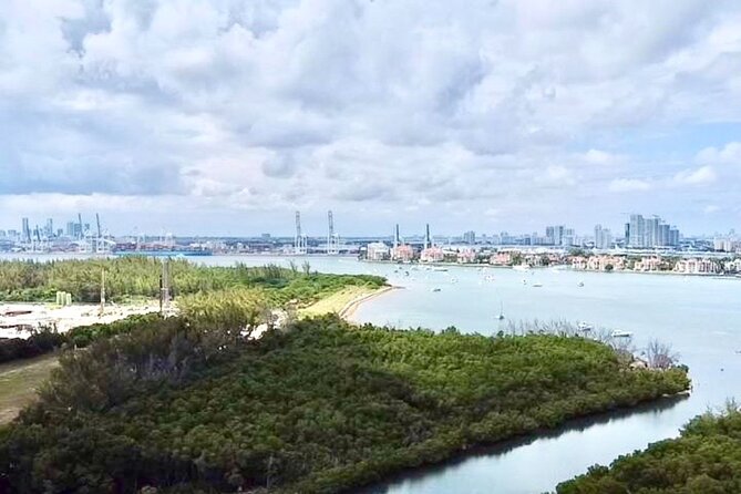 Miami Kayak and Paddleboard Rentals in Virginia Key - Wildlife to watch for around the dock