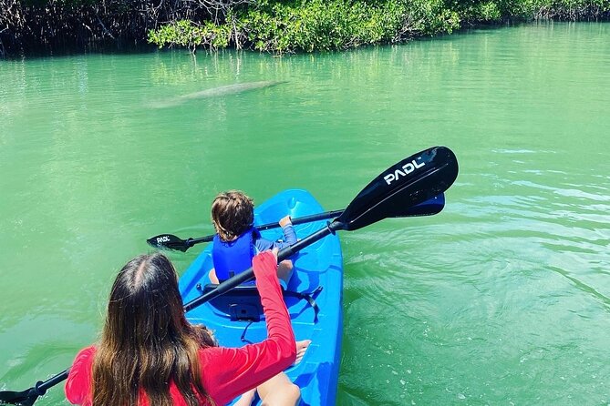 Miami Kayak and Paddleboard Rentals in Virginia Key - Who will enjoy this rental most?