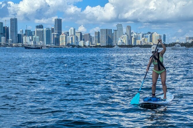 Miami Kayak and Paddleboard Rentals on Biscayne Bay - What the $25 price really buys