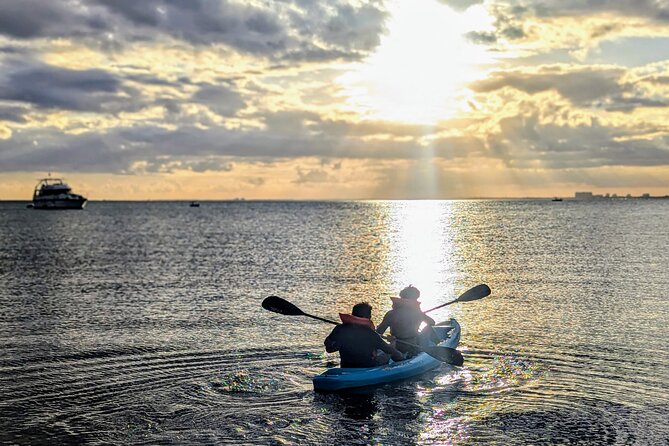 Miami Kayak and Paddleboard Rentals on Biscayne Bay - Should you book the Biscayne Bay rental?