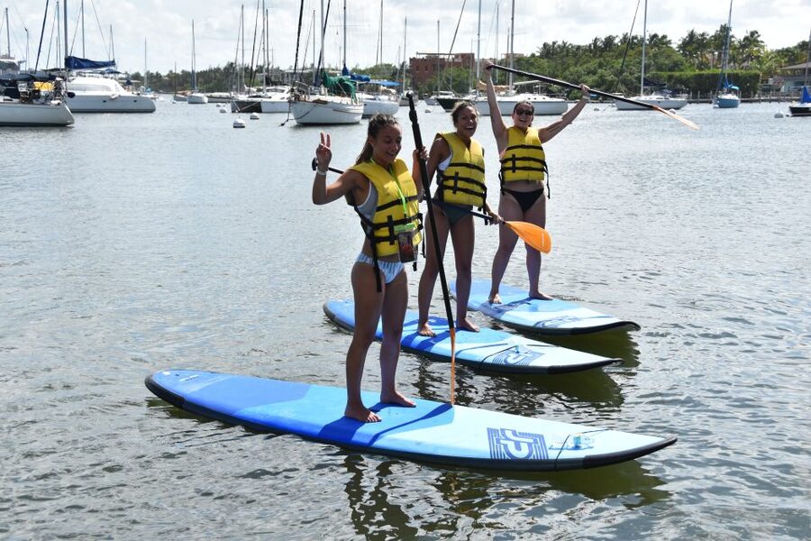 Miami: Kayak or Paddleboard Rental - What your one-hour outing feels like