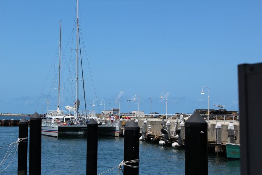 Miami: Key West Boat Tour w/ Optional Snorkeling & Open Bar - Safety instructions and language matter