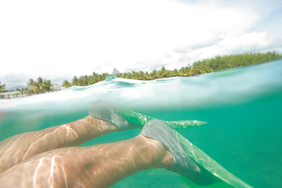 Miami: Key West Dolphin Watch or Snorkel Boat with pickup - The 90-minute glass-bottom boat option