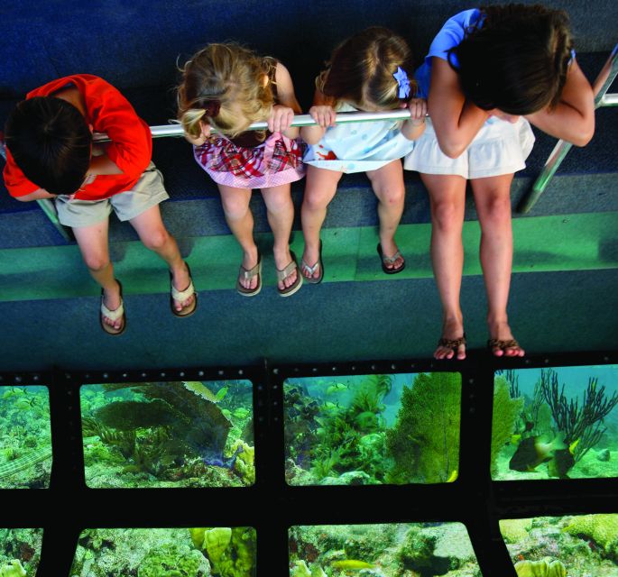 Miami: Key West Dolphin Watch or Snorkel Boat with pickup - Free time, beaches, shops, and the clock