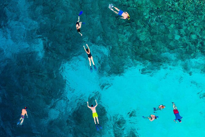 MIAMI: Key West Dolphin Watch Tour - Is the $89.25 price good value?