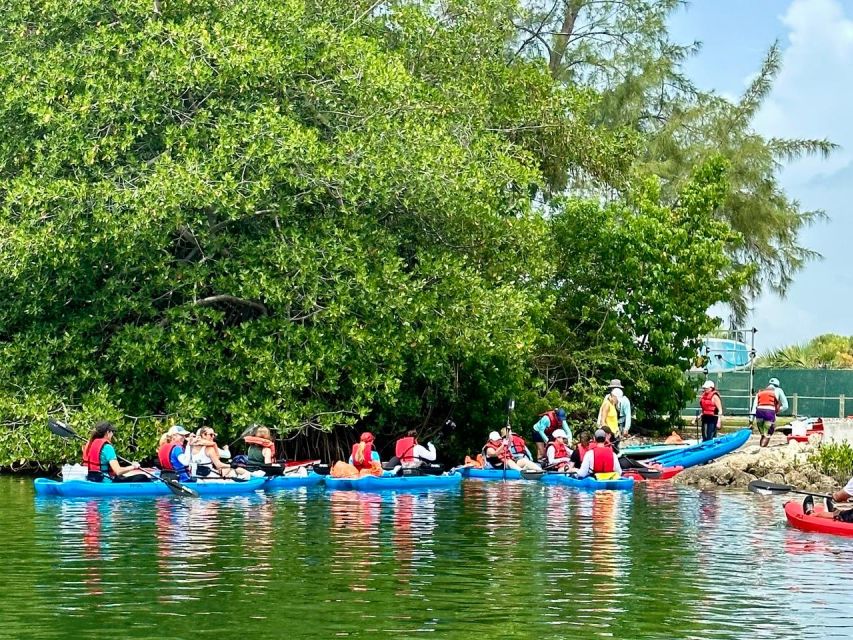 Miami: Manatee Season Paddleboard or Kayak Tour - Starting at Virginia Key Beach Park