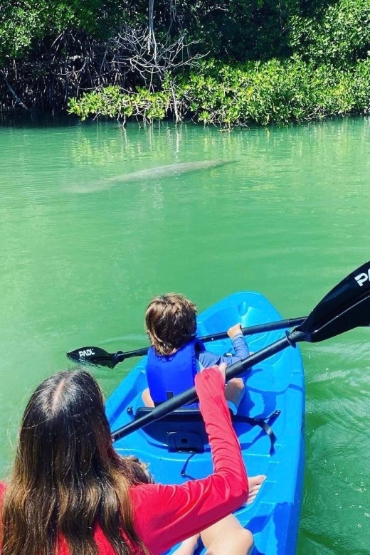 Miami: Manatee Season Paddleboard or Kayak Tour - Biscayne Bay with Miami in the distance