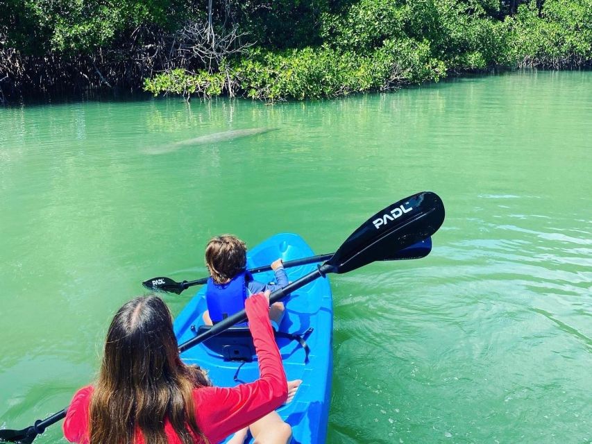 Miami: Manatee Season Paddleboard or Kayak Tour - Guides, photos, and the personal touch