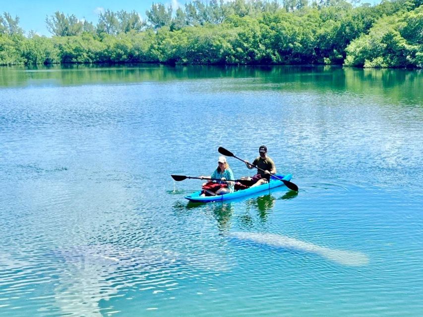Miami: Manatee Season Paddleboard or Kayak Tour - Is $85 a fair price?
