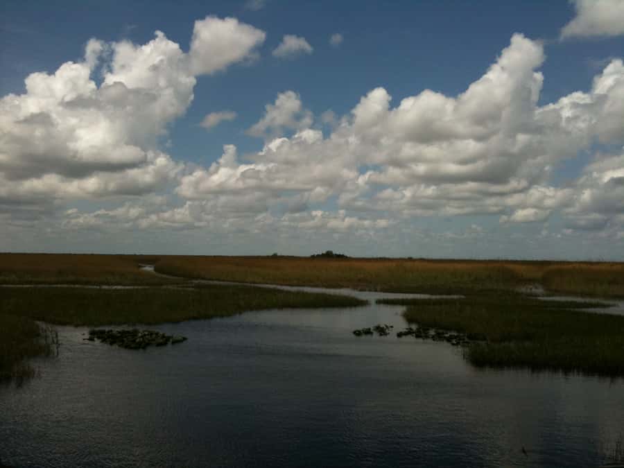 Miami: Original Everglades Airboat Tour & Interpretive area - The 40-minute ride into the River of Grass