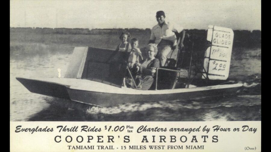 Miami: Original Everglades Airboat Tour & Interpretive area - What you might see in the wild