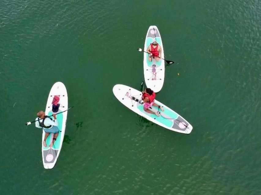 Miami: Paddle Board or Kayak Rental in Virginia Key - Key points to know before you go
