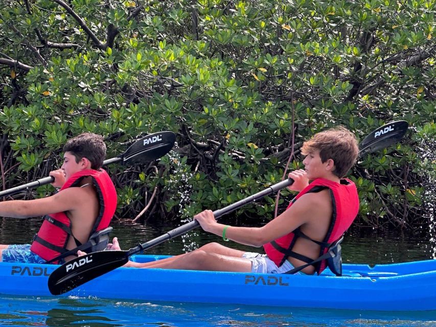 Miami: Paddle Board or Kayak Rental in Virginia Key - Biscayne Bay and the Downtown Miami view