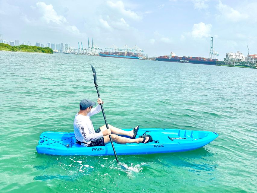 Miami: Paddle Board or Kayak Rental in Virginia Key - Wildlife depends on season and patience