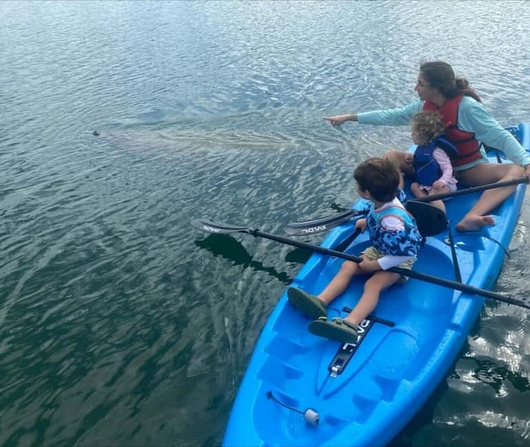 Miami: Paddle Board or Kayak Rental - PADL Beach Club - Who will enjoy this outing most